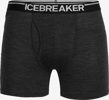 ICEBREAKER Athletic Underwear 'Anatomica' in Grey: front