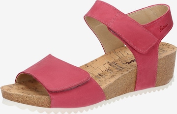 SIOUX Sandals in Pink: front