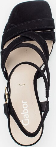 GABOR Strap Sandals in Black