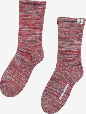ARMEDANGELS Socken 'KAAINO TERRY' in Rot: Vorderseite