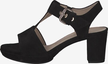 GABOR Sandals 'Comfort St. Tropez 42.394' in Black