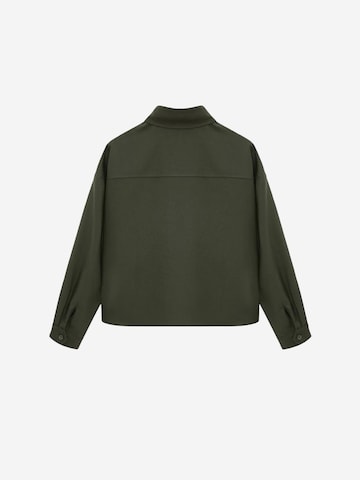Dilvin Shirt in Groen