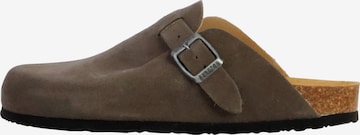 Mule Plakton en gris : devant