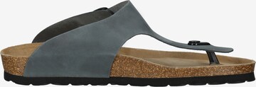 ROHDE T-Bar Sandals in Blue