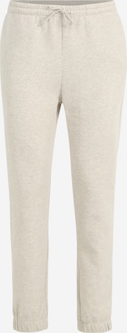 Rotholz Pants in Beige: front