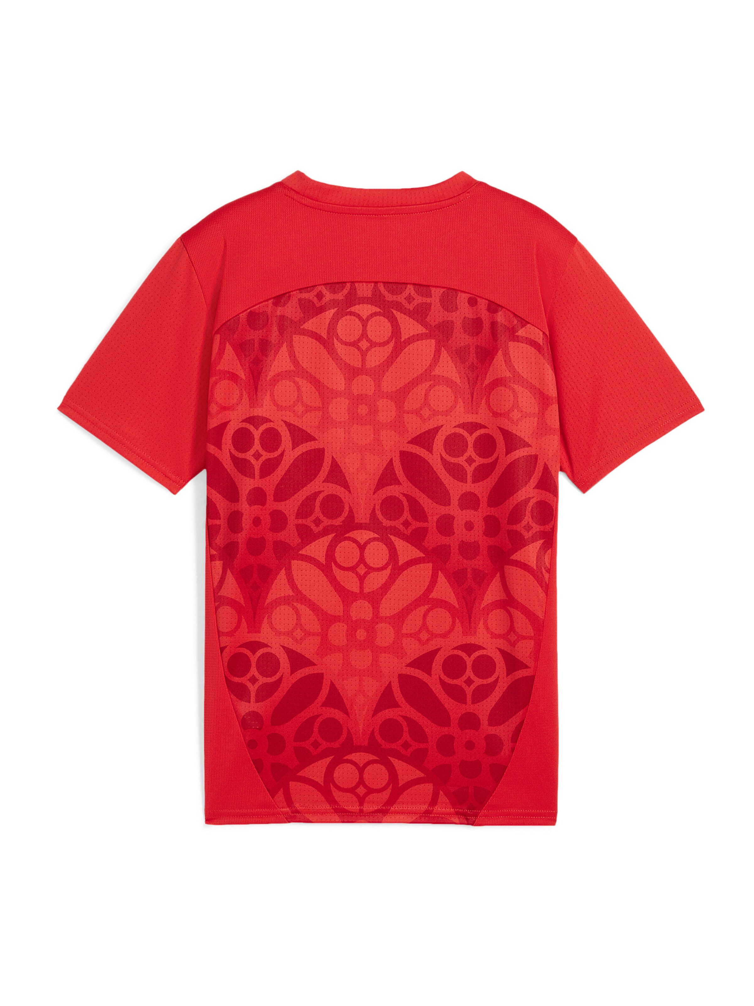 PUMA Funktionsshirt 'RB Liepzing' in Rot