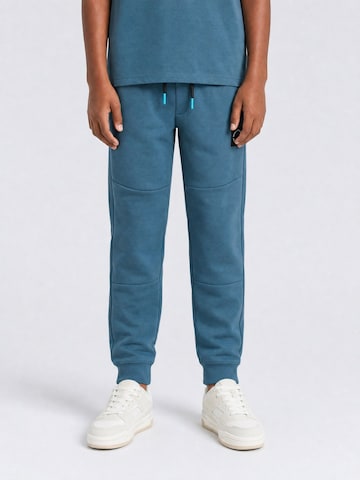 Petrol Industries Tapered Broek in Blauw
