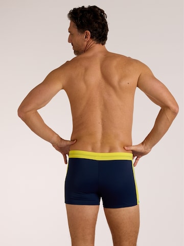 wavebreaker Swim Trunks in Blue