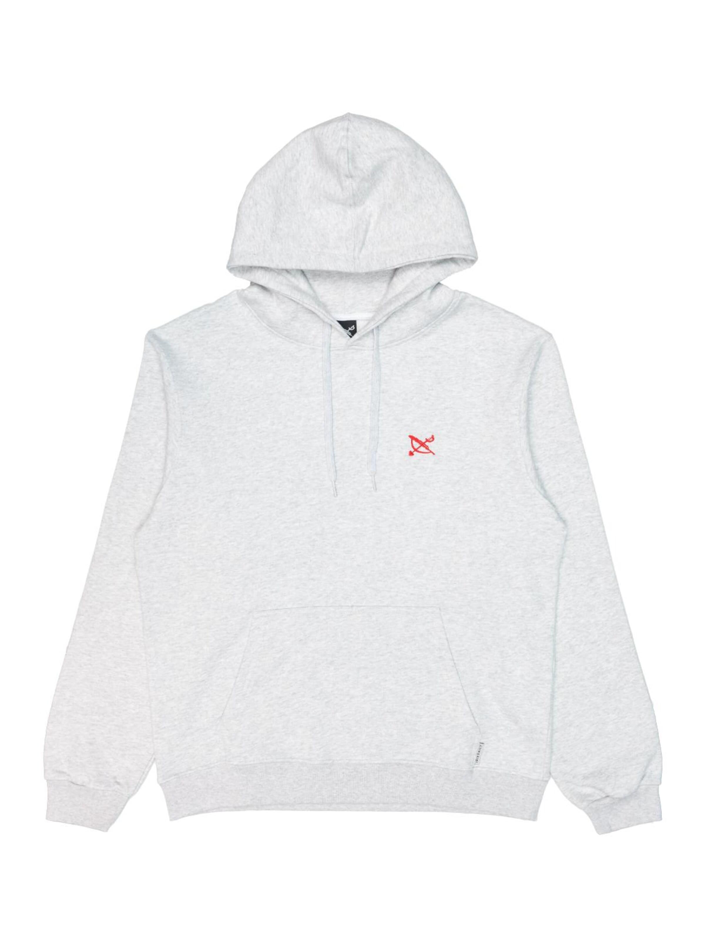 Iriedaily Sweatshirt in Grey: front
