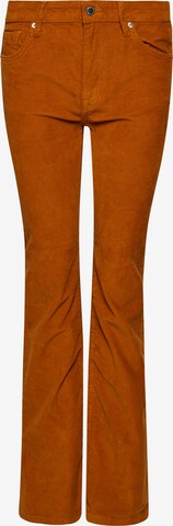 Superdry Flared Broek in Groen: voorkant