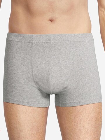 SEIDENSTICKER Boxer shorts 'Pur' in Mixed colours: front