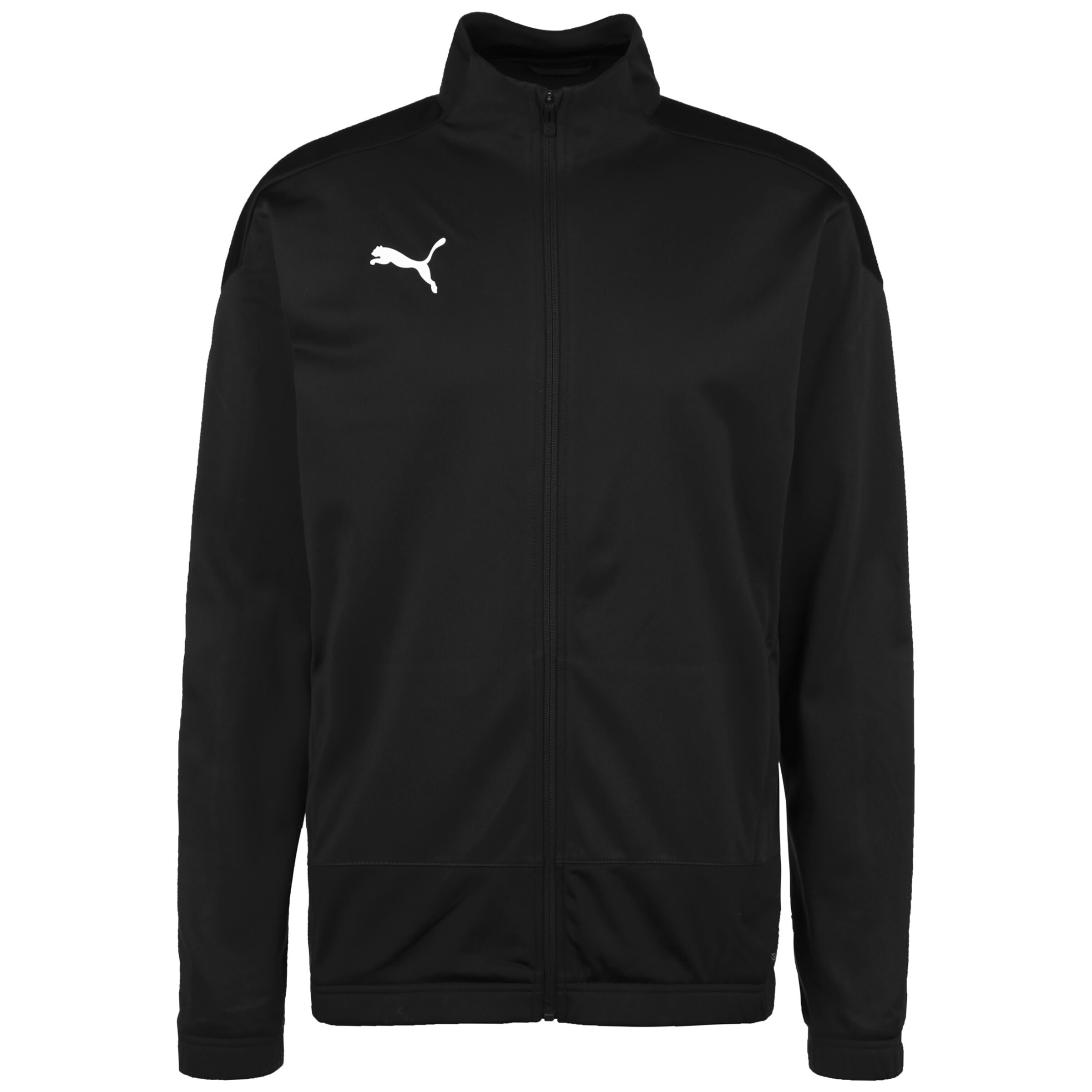 PUMA Training Jacket 'TeamGOAL 23' in Black: front