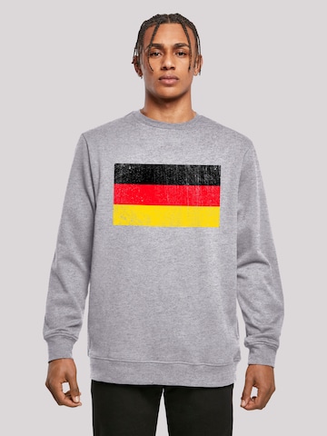 F4NT4STIC Sweatshirt in Grau: Vorderseite