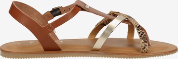 SCAPA T-Bar Sandals in Brown