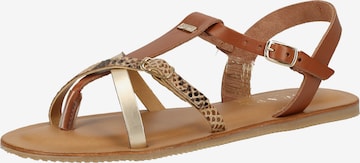 SCAPA T-Bar Sandals in Brown: front