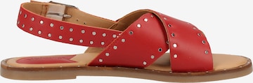 Sandales Kickers en rouge