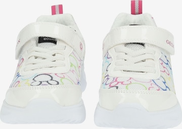 GEOX Sneakers in White