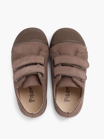 Pisamonas Sneaker‌‌ in Grau