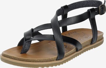 Blowfish Malibu T-Bar Sandals in Black: front