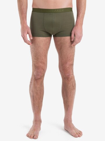 ICEBREAKER Athletic Underwear 'Anatomica' in Green: front