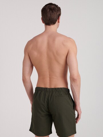 Shiwi Board Shorts in Green