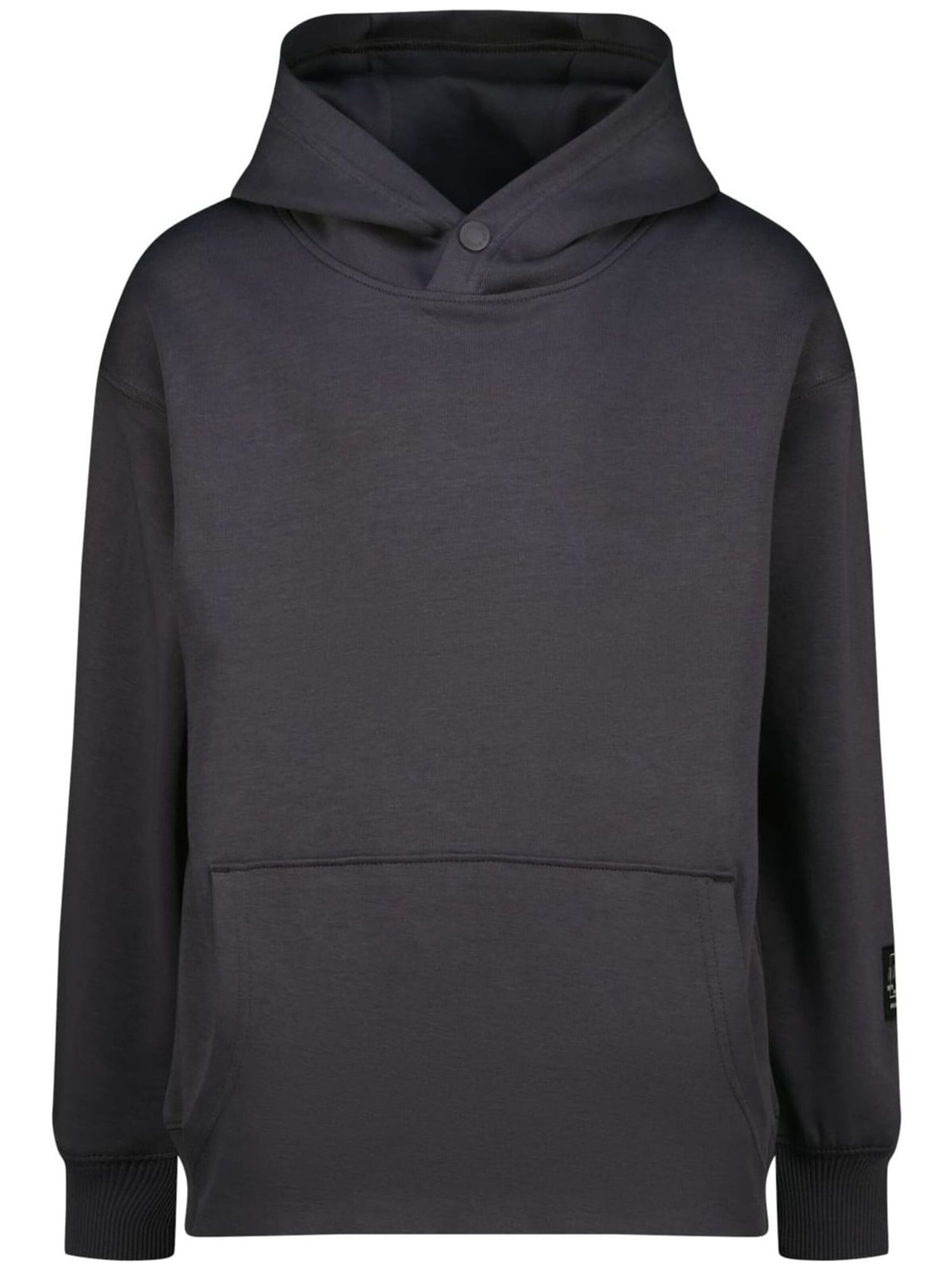 Raizzed Sweatshirt in Grijs: voorkant