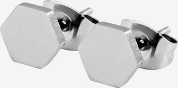 Akzent Earrings 'Taimi, langlebig' in Silver: front