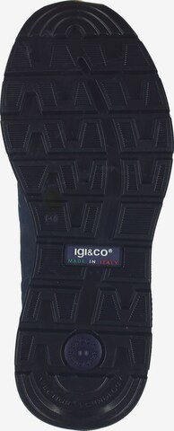 IGI&CO Sportschuh in Blau