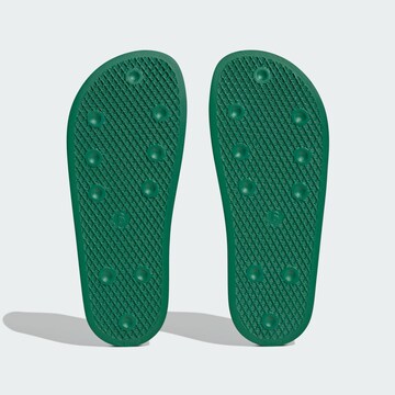 ADIDAS ORIGINALSNatikače s potpeticom 'Adilette' - zelena boja