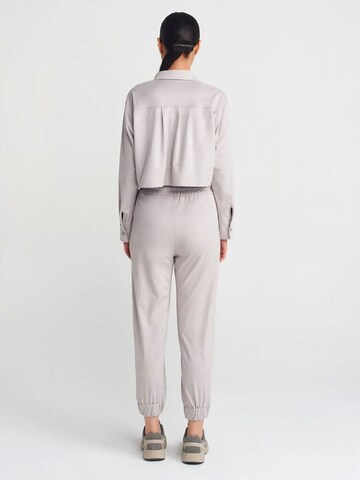 Effilé Pantalon Dilvin en gris