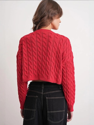 Pullover 'Pullover' di MixRay in rosso