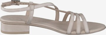 Paul Green Sandalen met riem in Beige