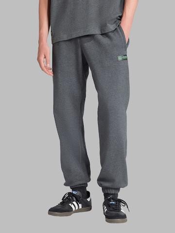 ADIDAS PERFORMANCEregular Sportske hlače 'Mercedes - AMG Petronas Formula One Team' - siva boja: prednji dio