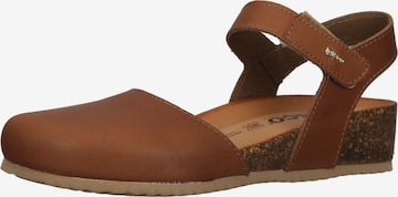 Sandales IGI&CO en marron : devant