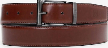 Kazar Belt in Brown: front