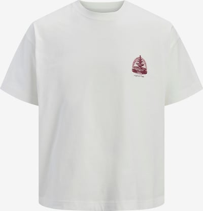 Marškinėliai 'JORMAINE' iš JACK & JONES, spalva – rubinų raudona / balta, Prekių apžvalga