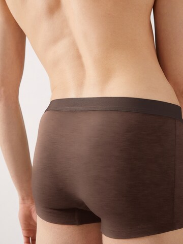ARMEDANGELS Boxershort 'Klaaus' in Braun