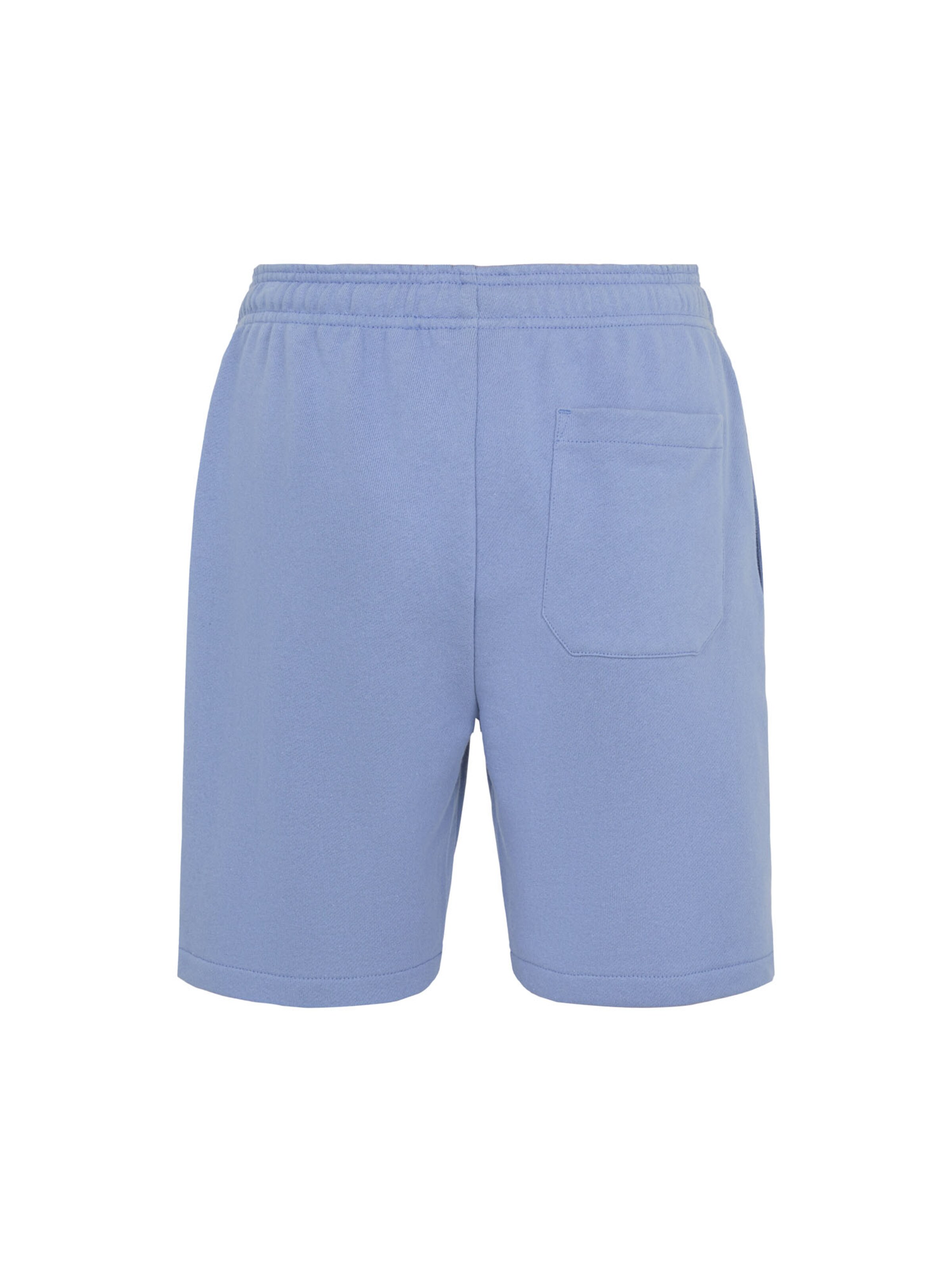 DICKIES Regular Short 'MAPLETON' in Blau