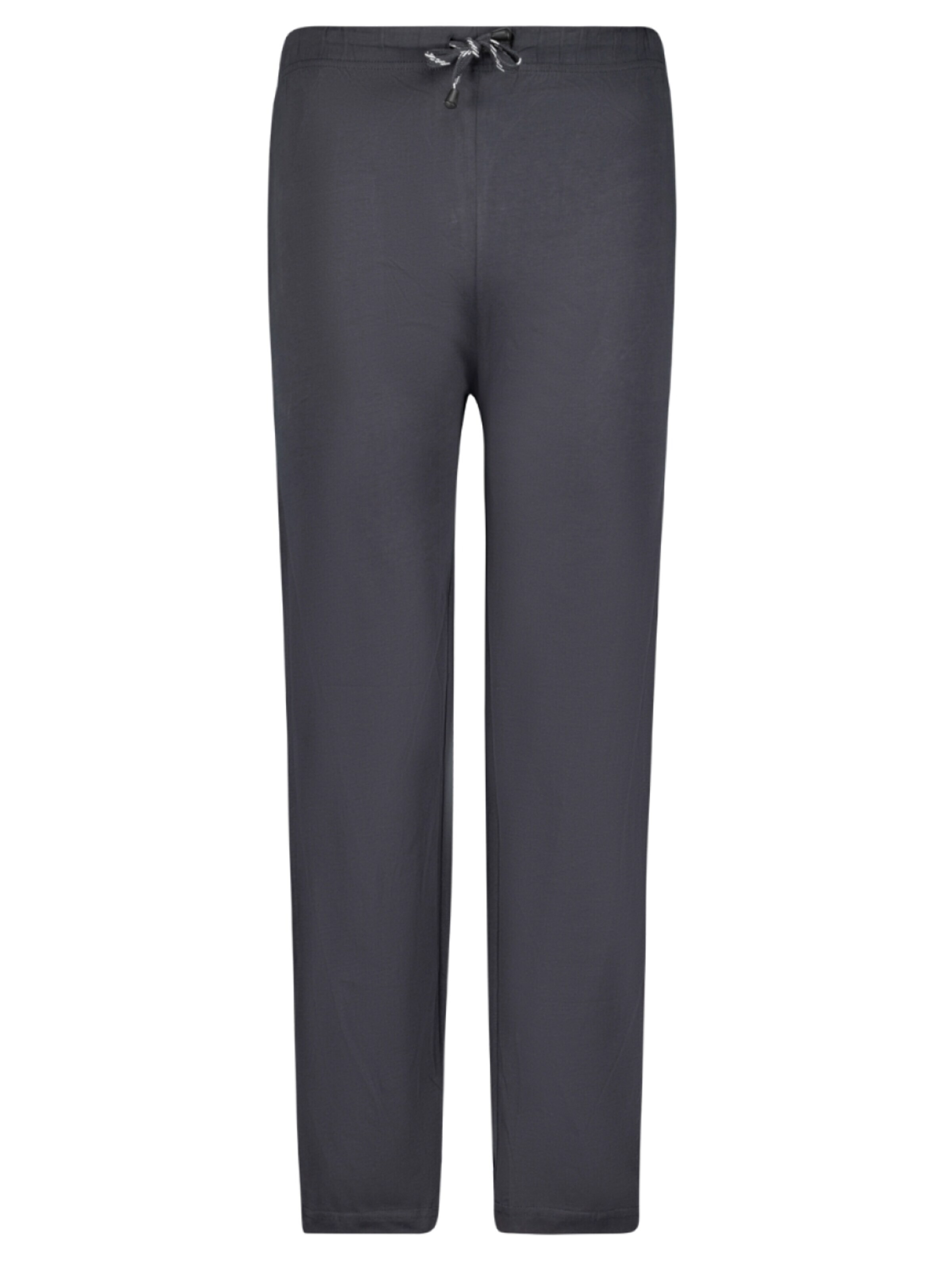 Adamo Regular Pants in Grey: front