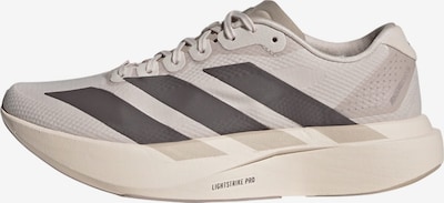 ADIDAS PERFORMANCE Laufschuh 'Adizero Evo SL' in 36 in silbergrau / dunkelgrau / mauve, Produktansicht