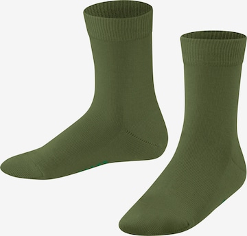FALKE Socks 'Family' in Green: front