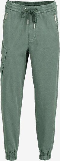 Young Poets Pants 'Ray' in Emerald, Item view