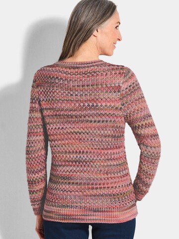 Goldner Sweater in Mixed colours