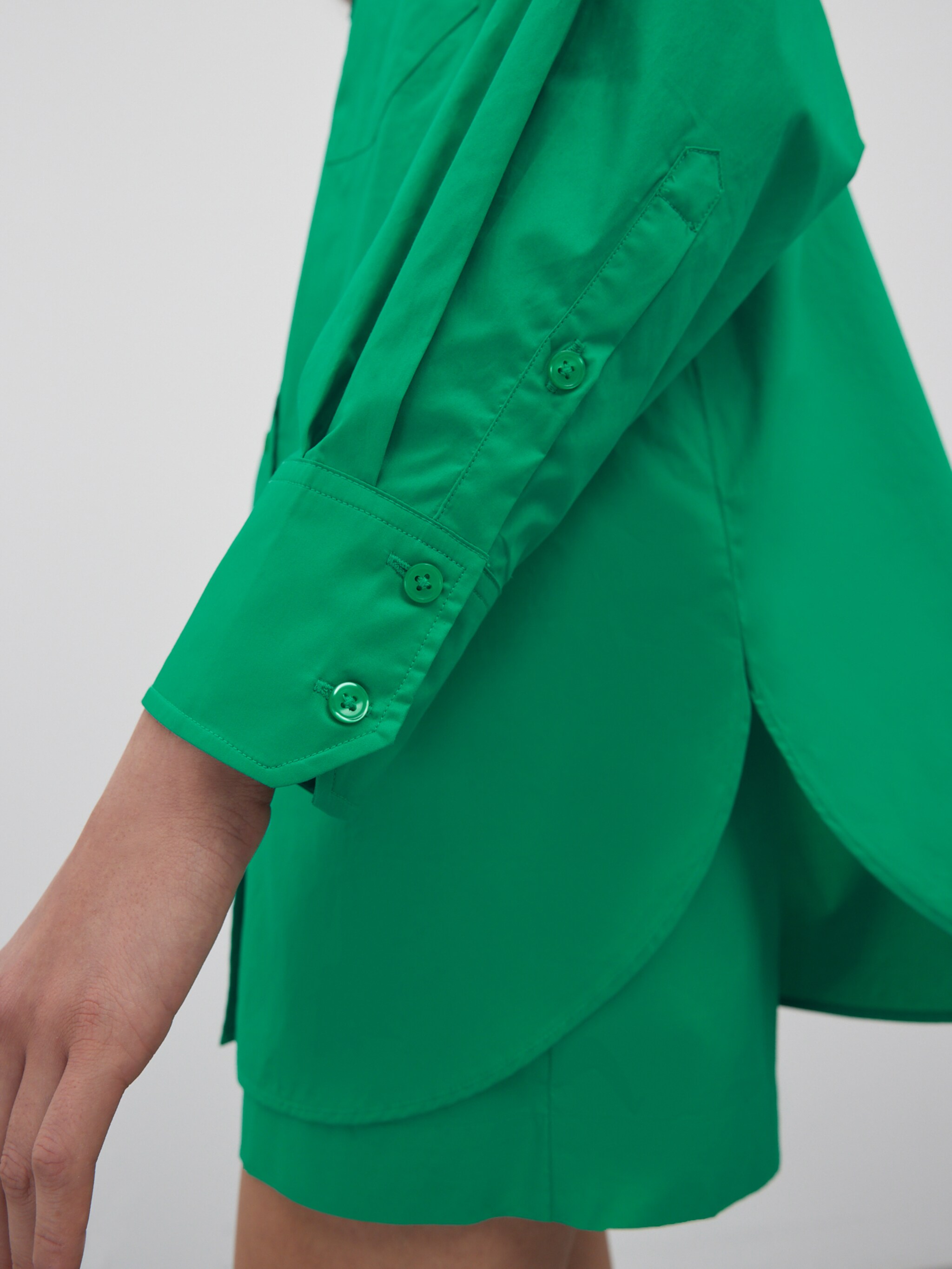 EDITED Produkte Bluse 'Nika' (GOTS) grün