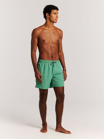 PROTEST Badeshorts 'Faster'‌‌‌‌ in Grün