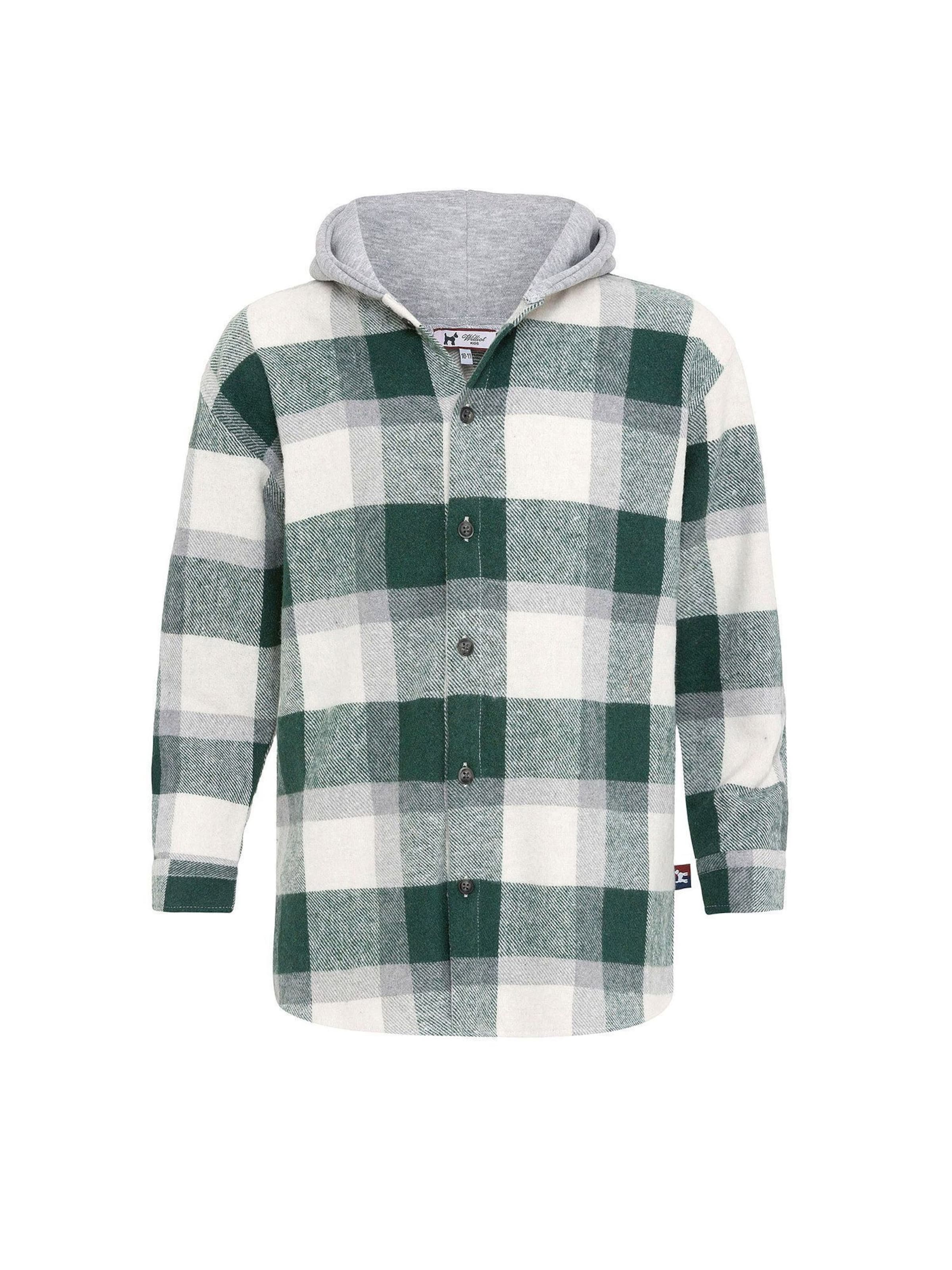 Fit confort Chemise Williot en vert : devant