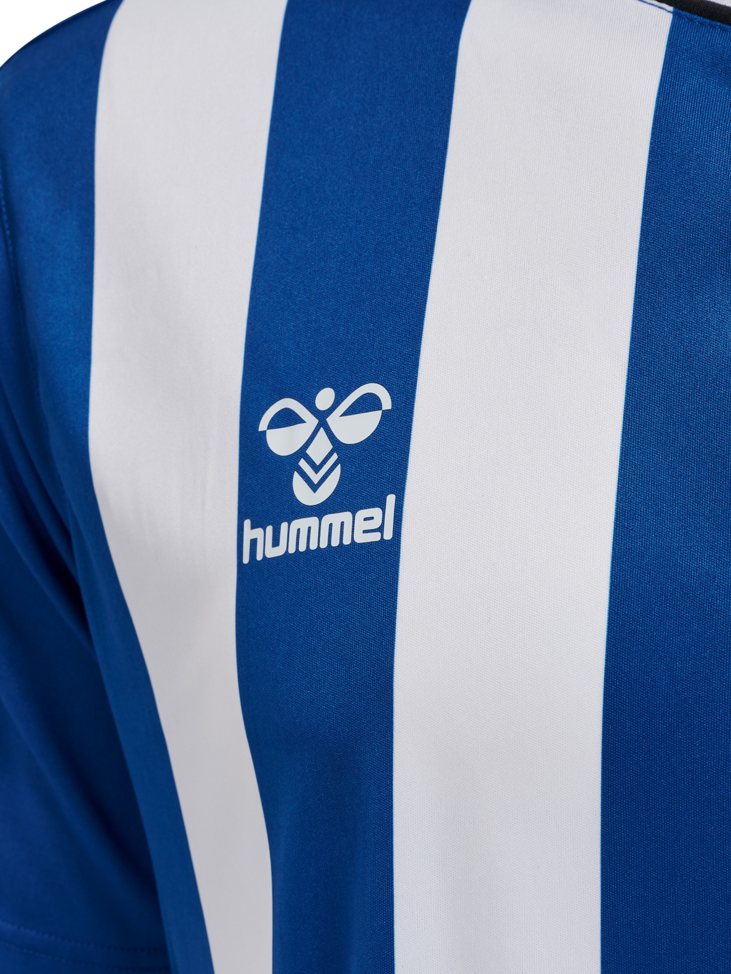 Hummel Trikot 'Core XK' in Blau