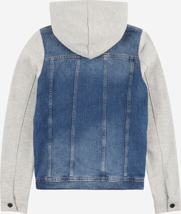 BOSS Kidswear Tussenjas in Blauw