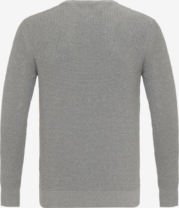 DENIM CULTURE Sweater 'Aljamain' in Grey