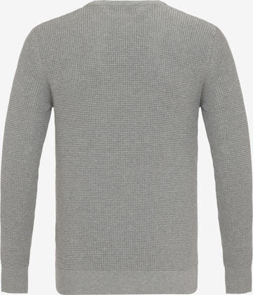 DENIM CULTURE Sweater 'Aljamain' in Grey